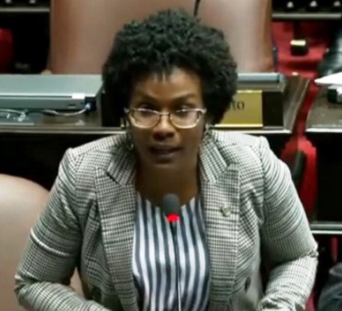 Fior Daliza, Diputada (1)