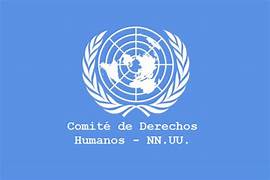 DH comision onu