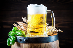 internacional-de-la-cerveza