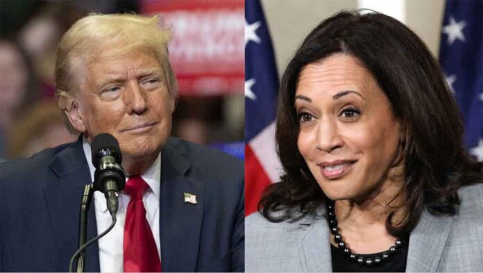 trump-kamala-1