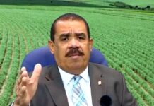 Colapsó la agropecuaria en el 2025 | Video