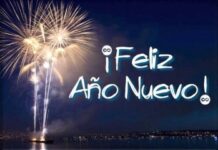 Día de Año Nuevo