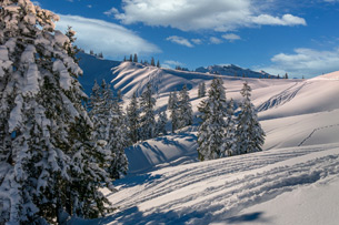 dia de-la-nieve
