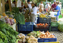 El Grito por los altos precios de los alimentos