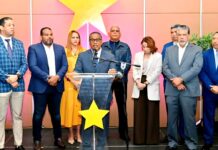 La Ineficiencia, incapacidad y ausencia de planificación predominan en el Gobierno del PRM | Video