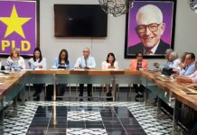 Enlaces del PLD pasan balance a la implementación de Línea Organizativa y Electoral