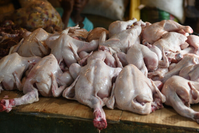 pollos en puestos