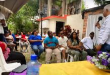 Línea Organizativa y Electoral mantiene movilizado al PLD
