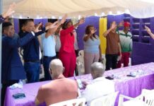 Profesionales de la contaduría se organizan en corriente peledeísta