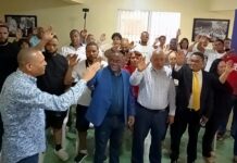 Contadores se organizan en el PLD