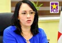 PLD rechaza limitaciones a vigencia de licencias de conducir