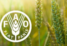 FAO demandó acciones ante consecuencias de la crisis en Medio Oriente