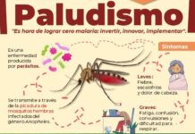 Dia Mundial del Paludismo