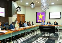 Órganos de trabajo del PLD en apoyo al territorio