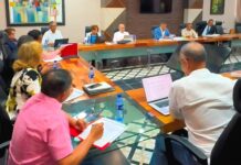 Nuevos pasos en la organización de la Consulta del PLD