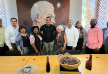 Situación de malestar en la familia dominicana