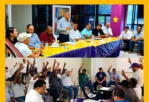 En progreso la Consulta del PLD