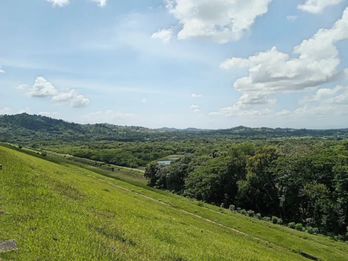 medio ambiente