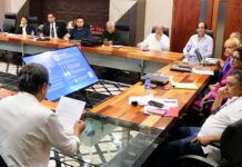 El PLD en los aprestos para realizar su Consulta en el exterior