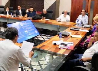 El PLD en los aprestos para realizar su Consulta en el exterior
