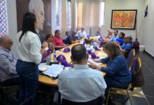 El PLD, con tiempo, preparando su Consulta