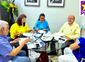 Conmemoraciones y celebraciones del PLD