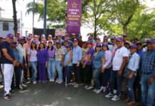 Miles de hogares son visitados este sábado por el PLD