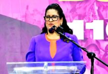 El PLD avanzando el proceso de Consulta