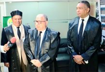PLD defiende derecho de los partidos a consultar a la ciudadanía | Video