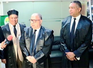 PLD defiende derecho de los partidos a consultar a la ciudadanía | Video