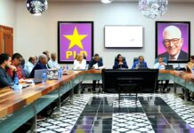 Avances del PLD en la organización de la Consulta