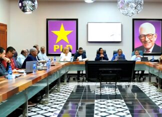 Avances del PLD en la organización de la Consulta