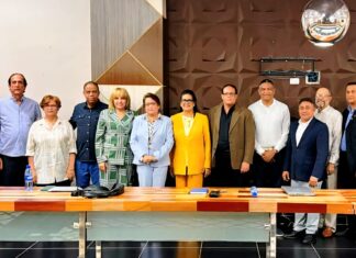 CONAP-2026 del PLD se reúne con Manfred Mata