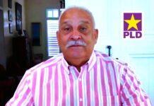 PLD se organiza y prepara para volver a gobernar