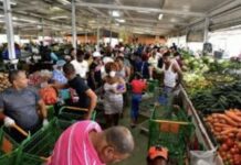 Ingresos no cubren los gastos básicos diarios de una familia de bajos ingresos