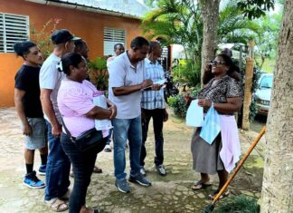 El PLD en las calles
