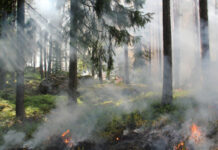 Día Mundial de la Prevención de Incendios Forestales