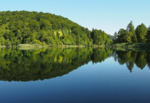 Día Mundial de los Lagos