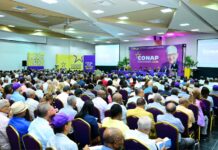 Asamblea de dirigentes del PLD inicia el camino del éxito de la Consulta