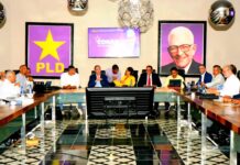 Pasan revista a los detalles de la Consulta del 18 de octubre en el PLD