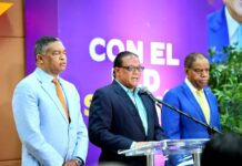 PLD realiza su Consulta en cumplimiento de la ley y de la sentencia del TSE | Video