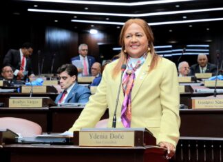 Diputados del PLD proponen invitar al director SNS por muertes de niños en Maternidad | Video