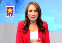 Gestión del PRM es un “gobierno de rendimiento decreciente”