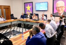 Orden de la boleta de la Consulta del PLD