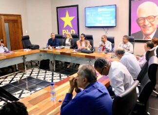 Orden de la boleta de la Consulta del PLD