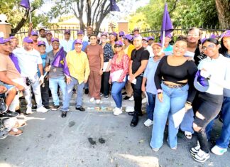 Los problemas que mortifican a las y los dominicanos | Video