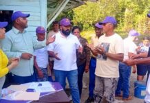 Visitas del PLD a los hogares dominicanos este sábado