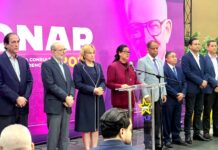 PLD suspende Consulta Ciudadana prevista para octubre | Video