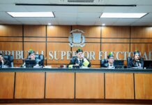 TSE declara inadmisible acción de amparo contra el PLD por ser notoriamente improcedente | Docs