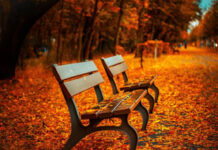 23 septiembre ( Inicio del Otoño)